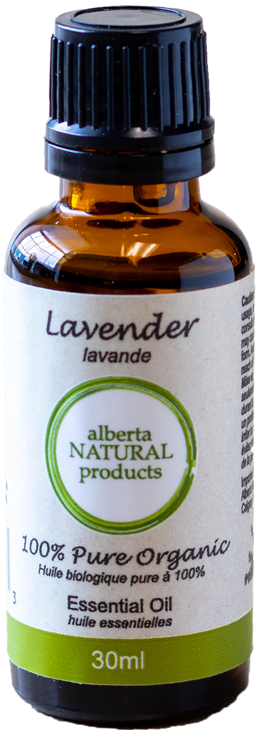 [006595 [Essential Oil, Pure, EO Labelling, Lavender, ANP Ltd., Non-Certified Org, Single, 30ml]] Lavender Essential Oil